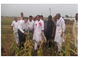 Union Agriculture Minister Visits Regional Research and Seed Production Station of DMR 2