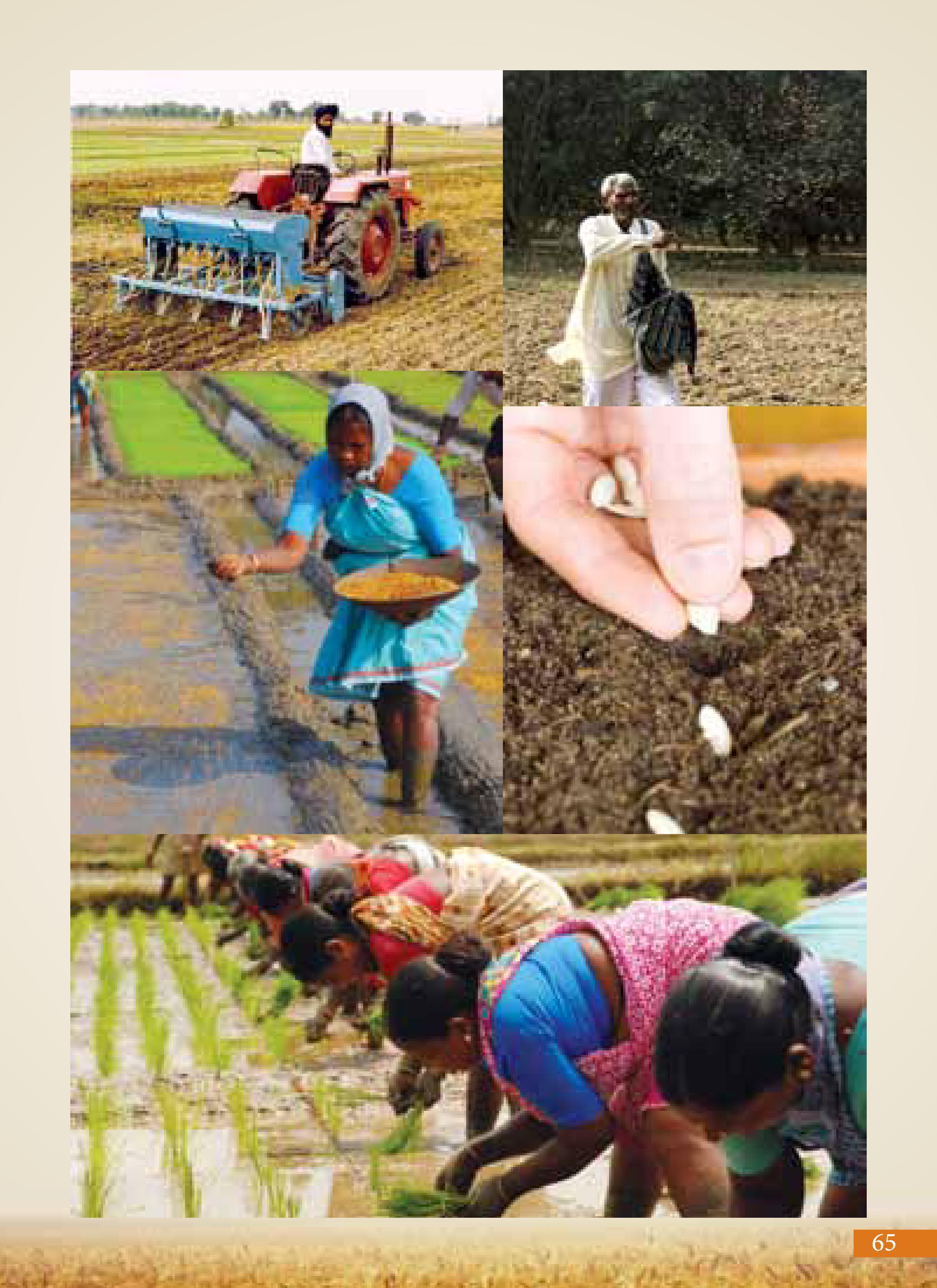 Agricultural Advancement, Our Priority - Two years of Modi Government