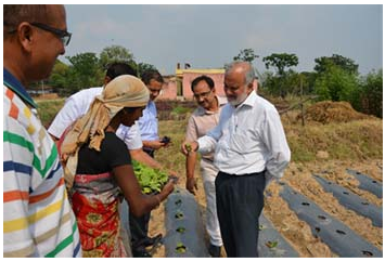 Dr. S. Ayyappan DG, ICAR vistis Rice-Fallow Programme at village Hundru in Ranchi